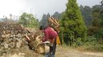 collecting-wood-at-dhotrey