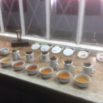 puttabong-tea-estate-darjeeling-1