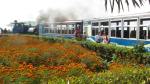 train-journey-from-darjeeling-to-ghoom5