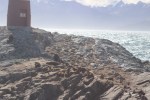 1005 Day 5 Ushuaia – Beagle Channel Lighthouse&nbsp;Island036