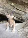 1008 Day 8 Cueva del Milodon&nbsp;(17)