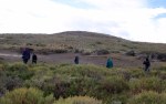 1010 Day 10 Guanaco Hunting Torres del Paine&nbsp;(4)