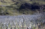 1010 Day 10 Landscape Torres del&nbsp;Paine16