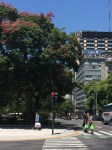 1016 Day 16 Buenos Aires&nbsp;(1)2