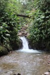 1018 Day 18 The Cloud Forest&nbsp;Ecuador29