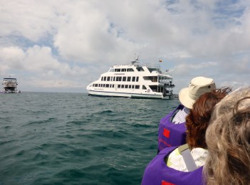 1019 Day 19 Queen of Galapagos (1)