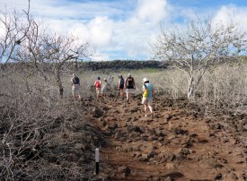 1020 Day 20 Santa Fe (73).JPG