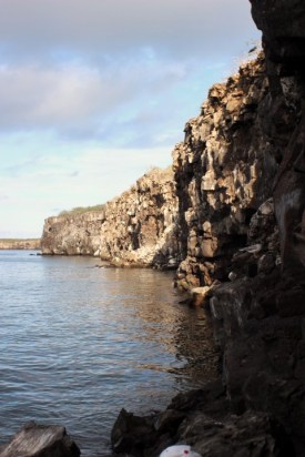 1022 Day 22 Genovesa Island (14)