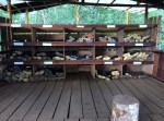 1025 Day 25 Boot Store at Giant Tortoise Reserve&nbsp;Reserve
