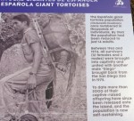 1025 Day 25 Charles Darwin Research Centre Puerto Ayora Santa Cruz&nbsp;(47)