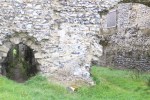 Castle Acre Priory&nbsp;(38)