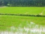 Countryside around Hue&nbsp;(4)