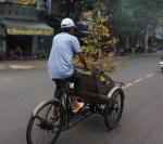 Cycling through the lagopons from Quy Nhon&nbsp;(70)