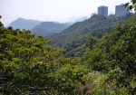 Hong Kong Walk to Peak Hill&nbsp;(5)