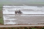 Journey from Halong to Hanoi&nbsp;(1)