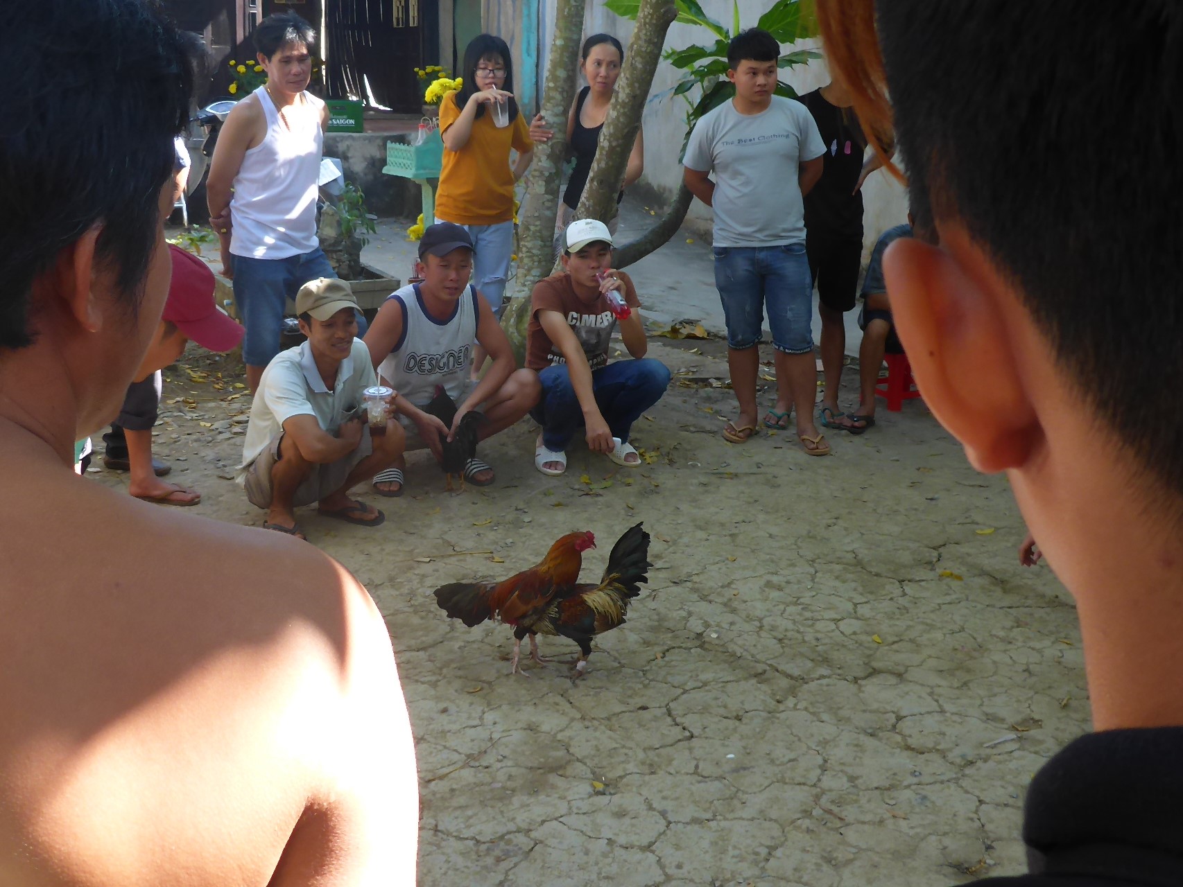 Mekong Delta Cai Be (15).JPG