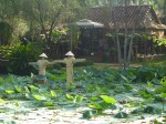 Mekong Delta Roadside Rest Area&nbsp;(4)
