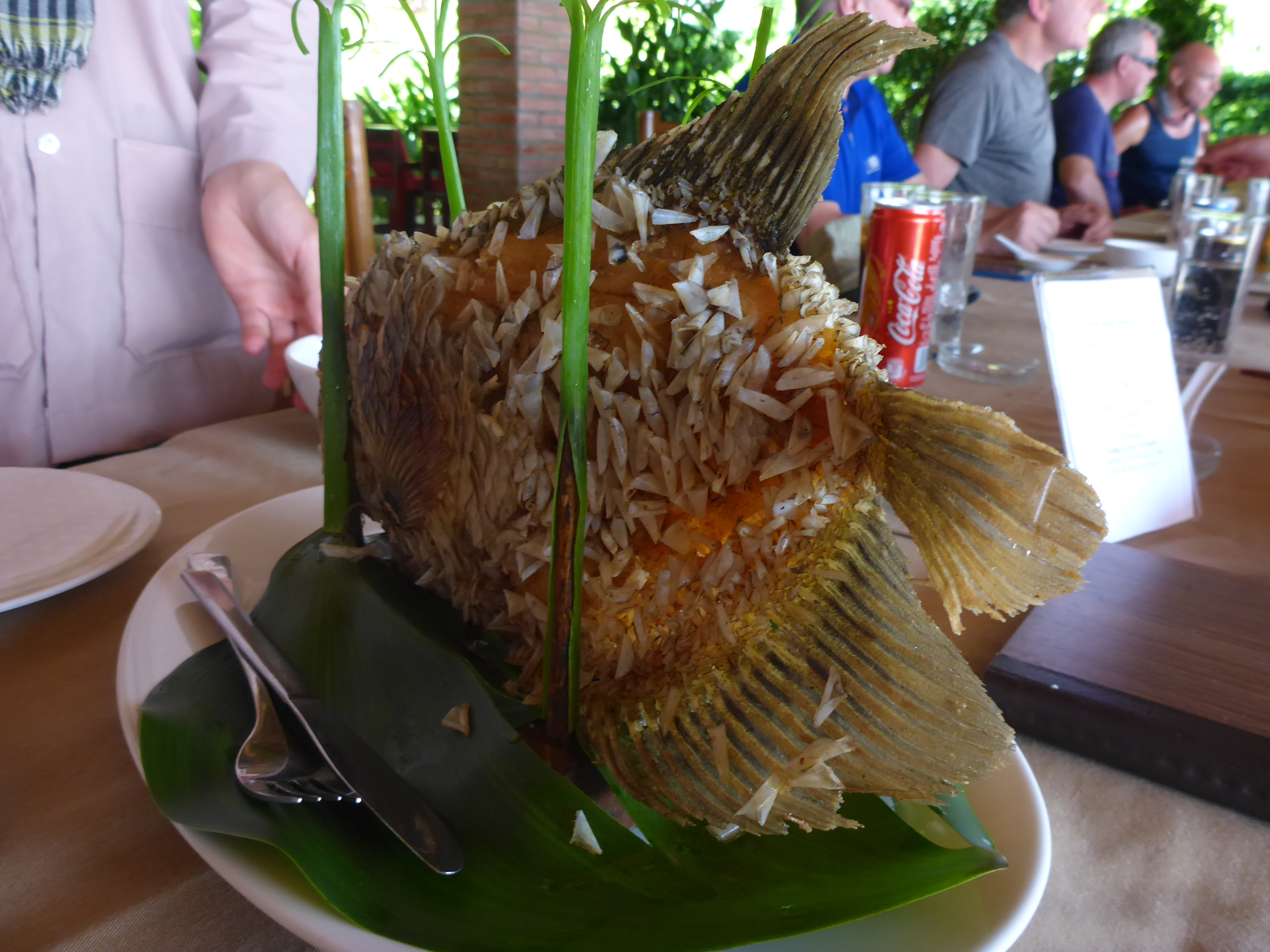 Mekong Delta videos (22).JPG