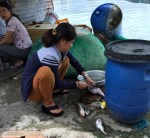 On Hon Mun Island Nha Trang&nbsp;(18)