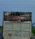 Road to Nha&nbsp;Trang07