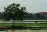 Approaching Halong Bay&nbsp;(2)