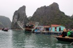 Halong Bay formations&nbsp;(58)