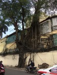Hanoi (63)