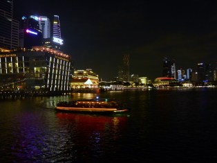 Singapore at night (18)