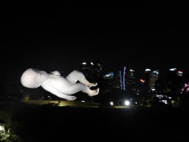 Singapore at night (5)