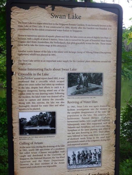 Singapore Botanical Gardens (4)