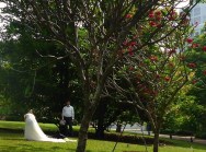 Singapore Fort Canning Park (13)