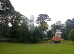 Singapore Fort Canning Park&nbsp;(2)
