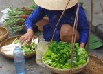 Hoi An Walking Tour of&nbsp;Town34