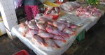 Hoi An Walking Tour of&nbsp;Town54